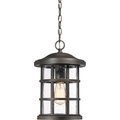 Quoizel Crusade Outdoor Hanging Lantern CSE1910PN